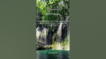 Unlocking the Power of Negativity Bias | Why We Remember Negative Events More Vividly