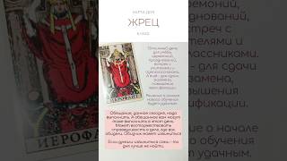 ☀️ КАРТА ДНЯ 6 МАЯ #таро #картытаро #tarot