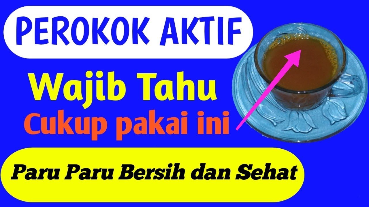 CARA MEMBERSIHKAN PARU PARU PEROKOK Obat Alami 