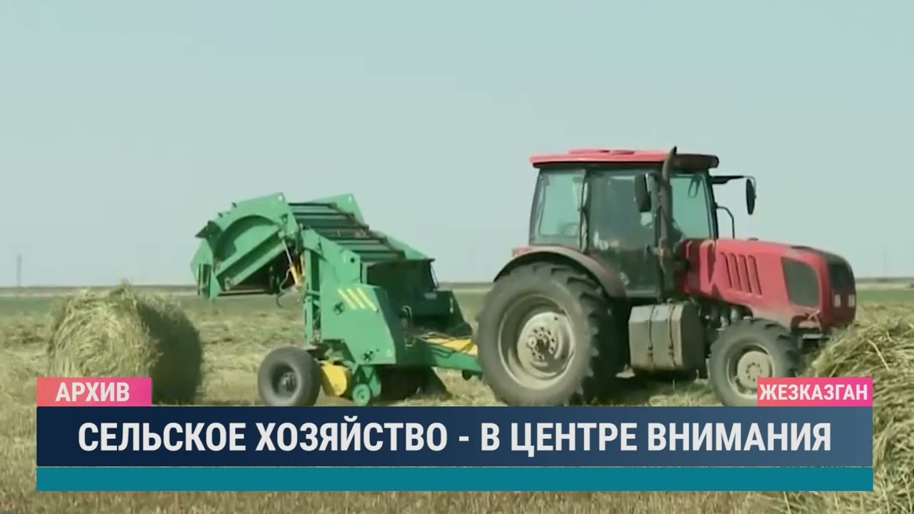Сельское хозяйство - в центре внимания