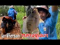 เอาชีวิตรอดกลางทุ่งนาตอนฝนโปรย ตกเบ็ดอย่างฟิน!! [EP.1เด็กบ้านนอก]