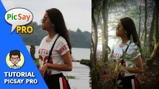 Tutorial edit DSLR effect blur background | TUTORIAL PICSAY PRO #1
