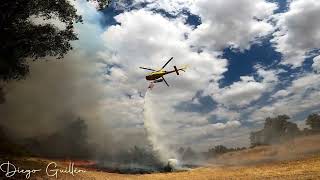 BOMBEROS FORESTALES EXTREMADURA. INFOEX. CAMPAÑA 2022