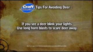 Deer Collision Avoidance Tip # 1