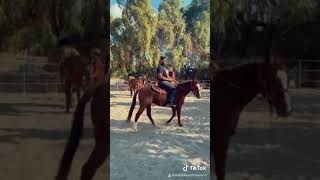 Black Cowboy 🤠 #shorts