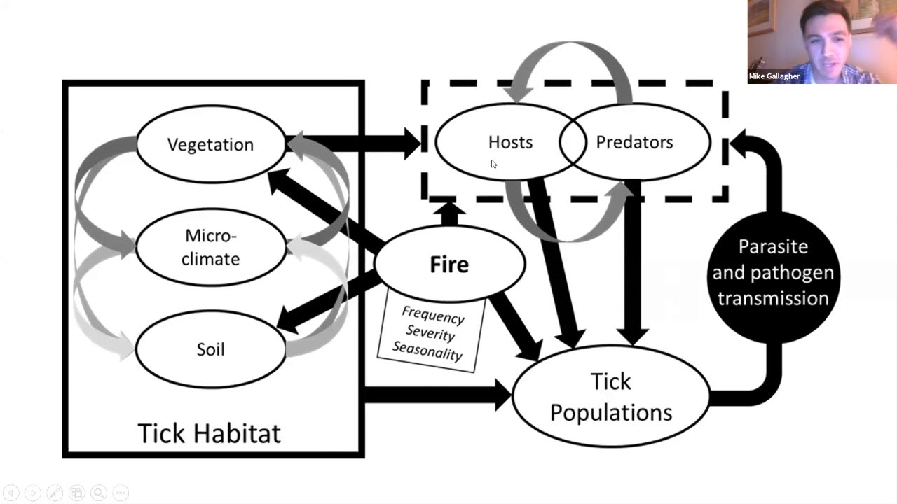 The Effects of Prescribed Fire on Ticks in a Pine Barrens Landscape