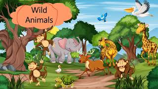 Say Hello 5 Unit 5 Where Animals Live  EP. 1 screenshot 3