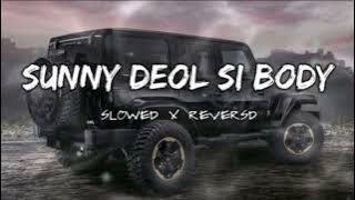 Sunny Deol Si Body Re  ( Slowed & Reverb ) | Raju Punjabi || Choudhar Jaat Ki