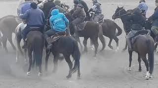 картинка: Бузкаши бо човандозони Дарғ ва Каздон