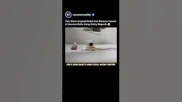 This Worm Robot Can Remove Tumors & Bolts Using Sticky Magnets. You Won