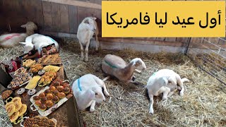 أجواء عيد الاضحى في أمريكا🐏 #مغربية_في_أمريكا