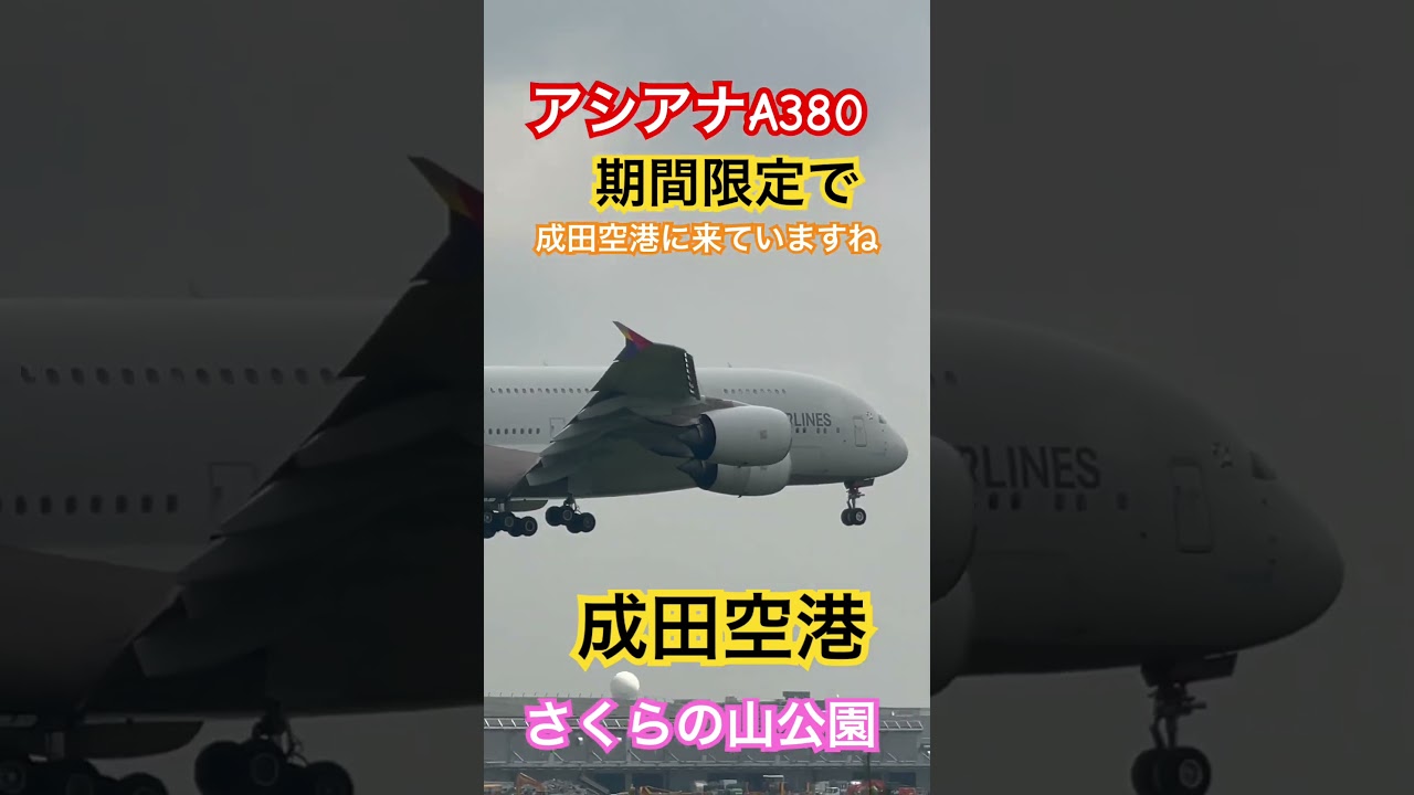 超レア❣️アシアナ航空　客室乗務員　バッグ (数量限定) 数量限定)超レア❣️アシアナ航空_客室乗務員_バッグ - メルカリ