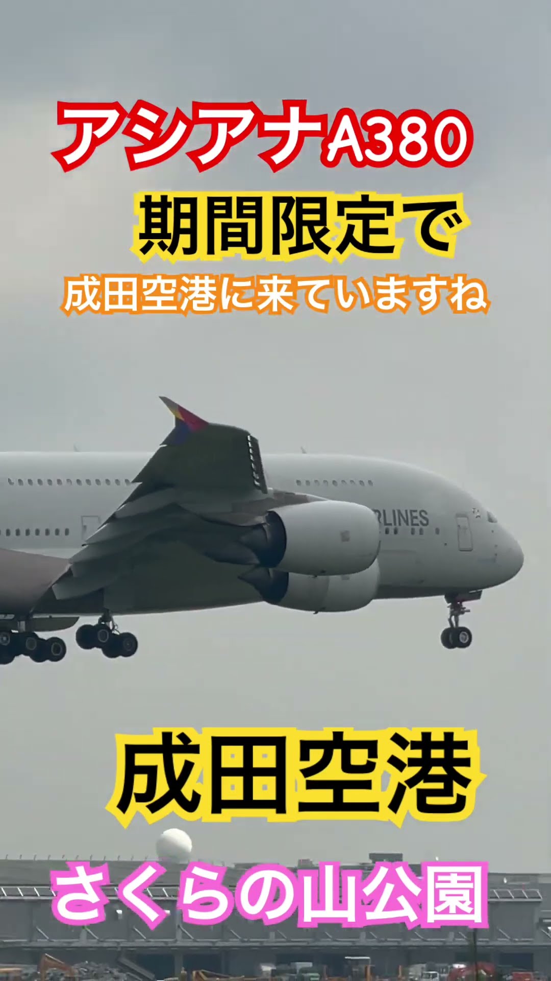 (数量限定)超レア❣️アシアナ航空_客室乗務員_バッグ 221130_0096_aar-720