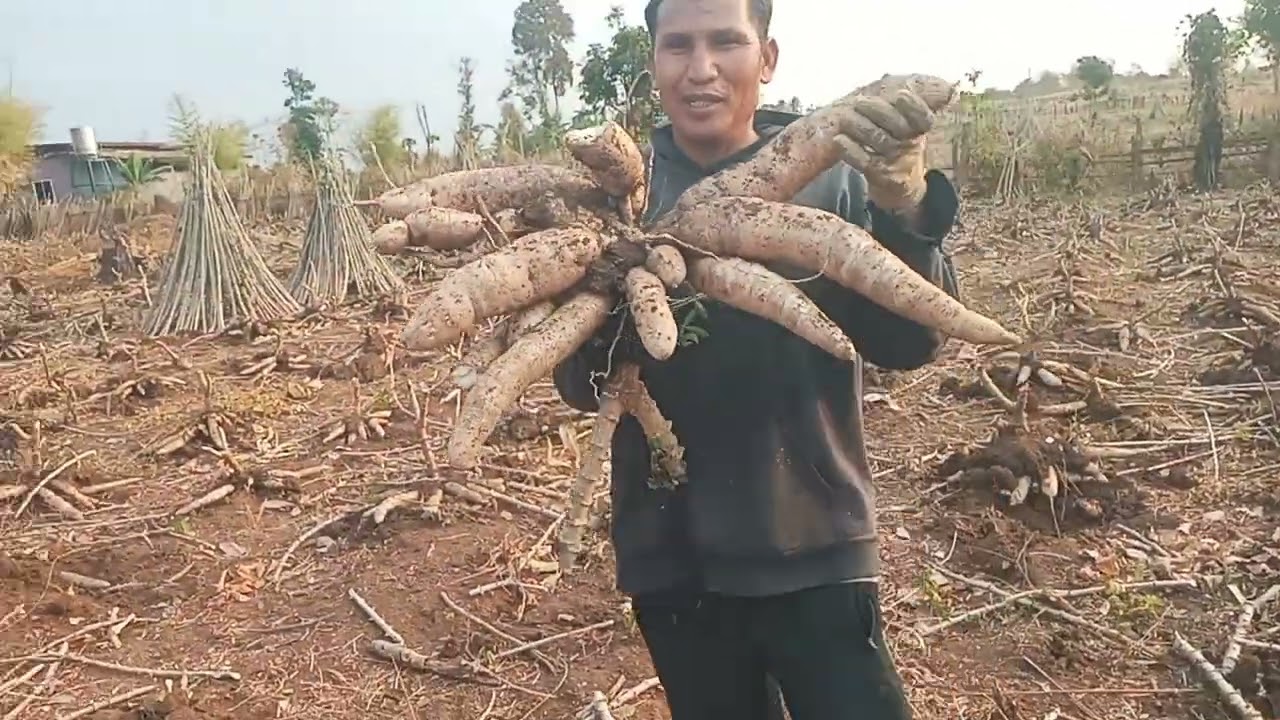 ເພື່ອລຽ໊ງອາຊີບ/เพื่อลณ้งอาชีบ