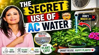 How I Use AC Water for Gardening 🌱 Best Summer Water Saving Hack