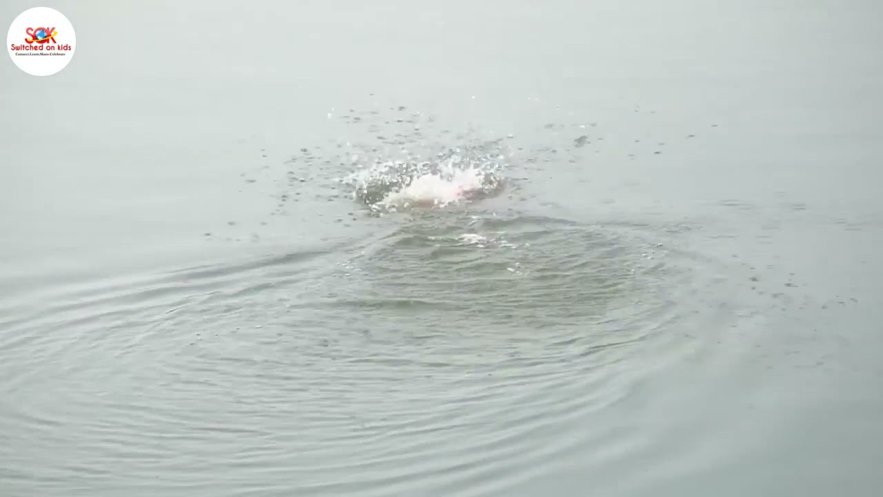 What is a robotic toy? SwellPro Spry Plus Waterproof Action Sport Drone