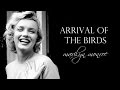 Arrival of the Birds [Marilyn Monroe]