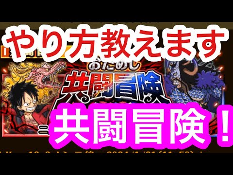 【トレクル】やり方教えます！おためし共闘冒険！