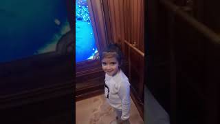 Santas enchanted Elevator