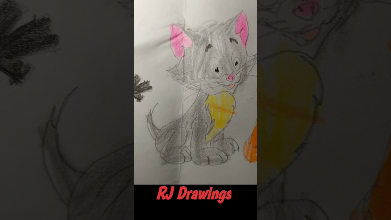 Tom cat drawing 