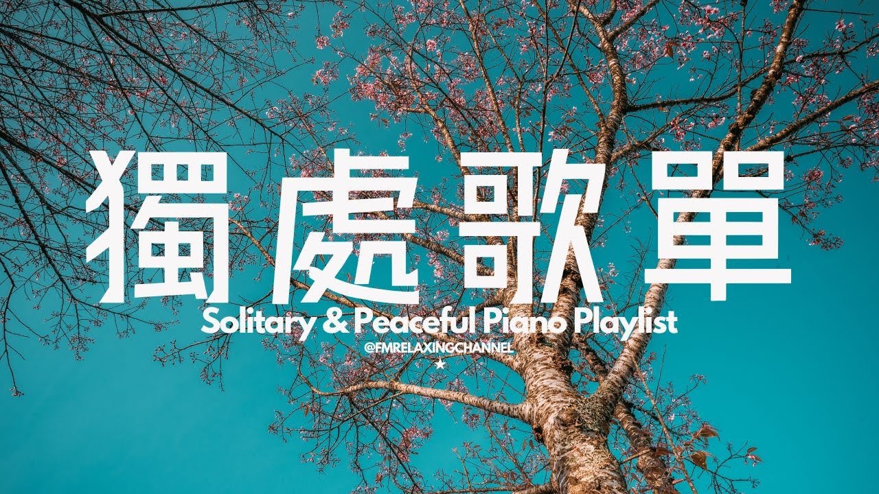 【PEACEFUL PIANO BGM】一聽就能讓你放鬆！60分鐘的沉浸式舒壓旋律，溫柔的琴聲會撫平你的煩躁，陪你度過輕鬆又平靜的時光。特別適合用來冥想、放鬆，還有學習和工作時當背景音樂
