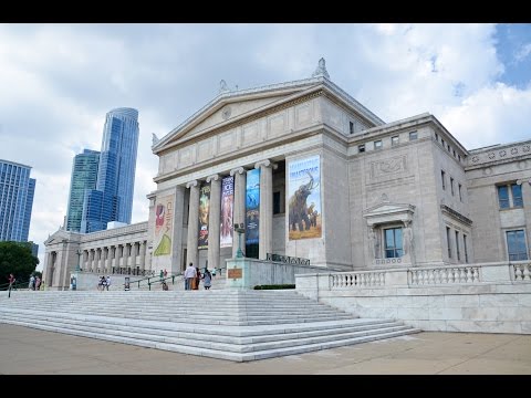 field-museum-free-days!