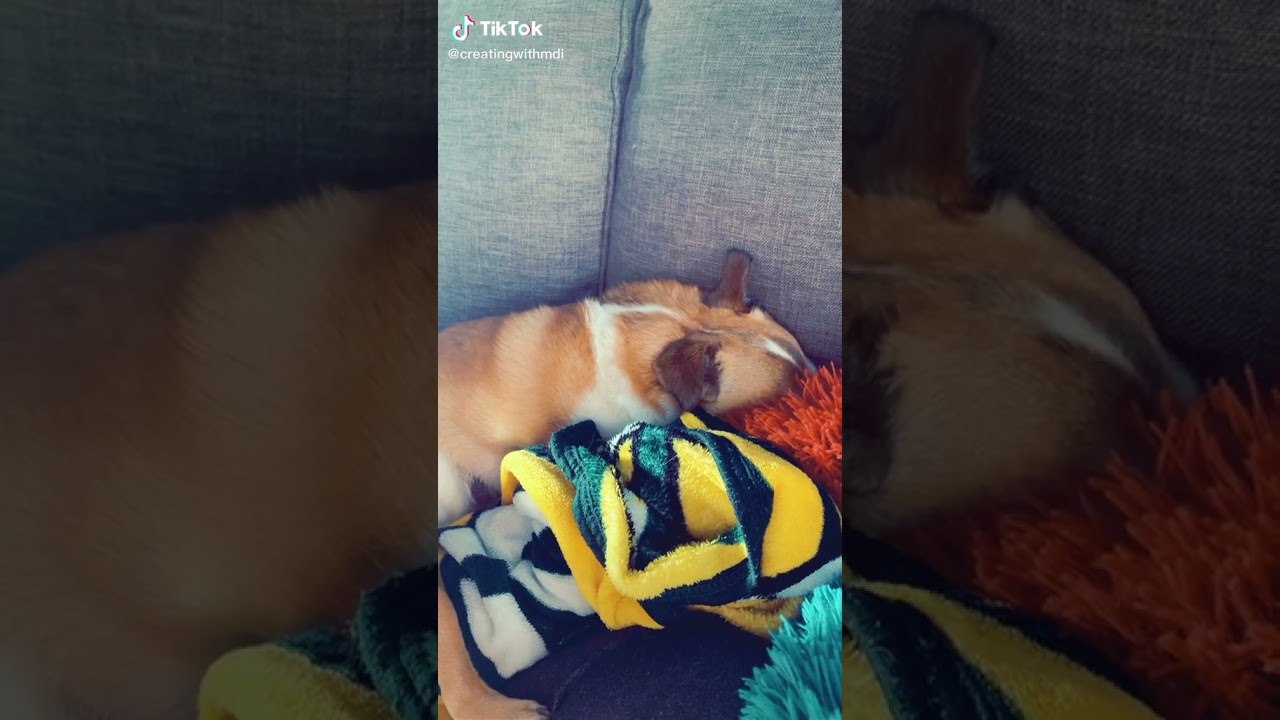 They are guilty! But not sorry 😂 