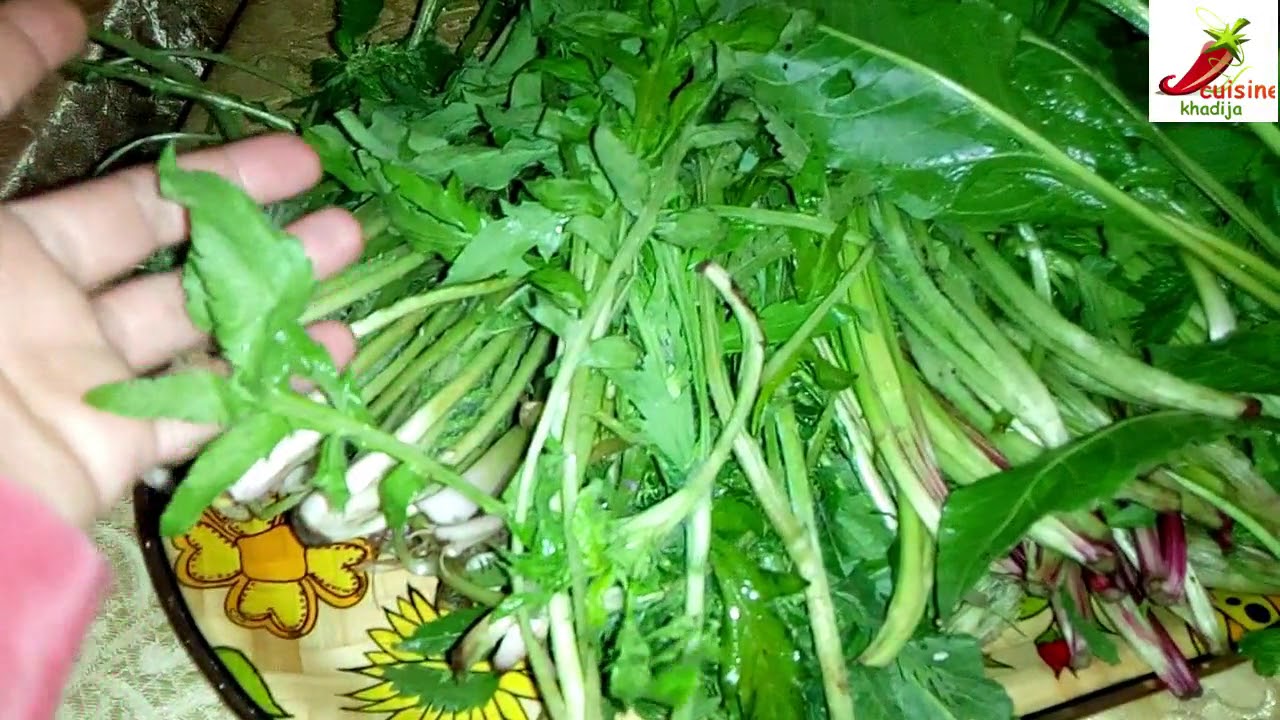 🌿🌱فيديو للإفادة🌱🌿 أجيو نستافدو جميعا/ نتعرفوا على بعض أنواع البقوليات/نصائح من أمي الغالية 🌷🌷