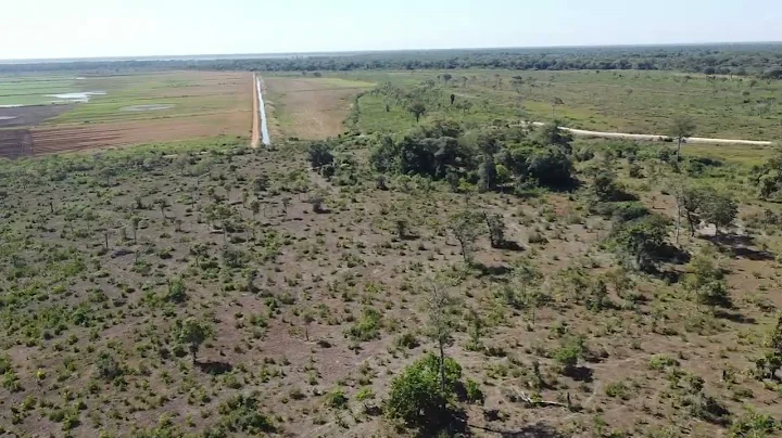 Drone Footage of Heart Breaking Deforestation in the Amazon Rainforest