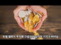 공시가격 200억 시대! 부동산 트렌드가 바뀐다!