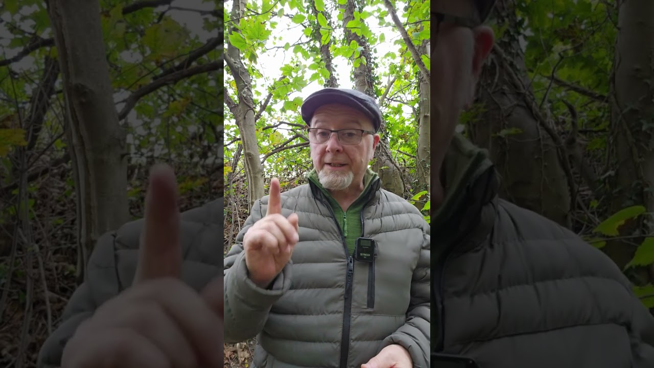 “As the leaves let go, so can you. 🍂