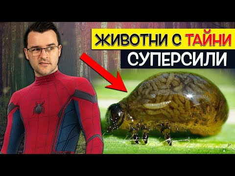 Топ 10 невероятни СУПЕРСИЛИ, които животните ПРИТЕЖАВАТ