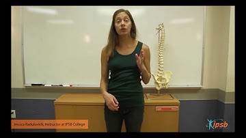 Structural Integration Introduction Video