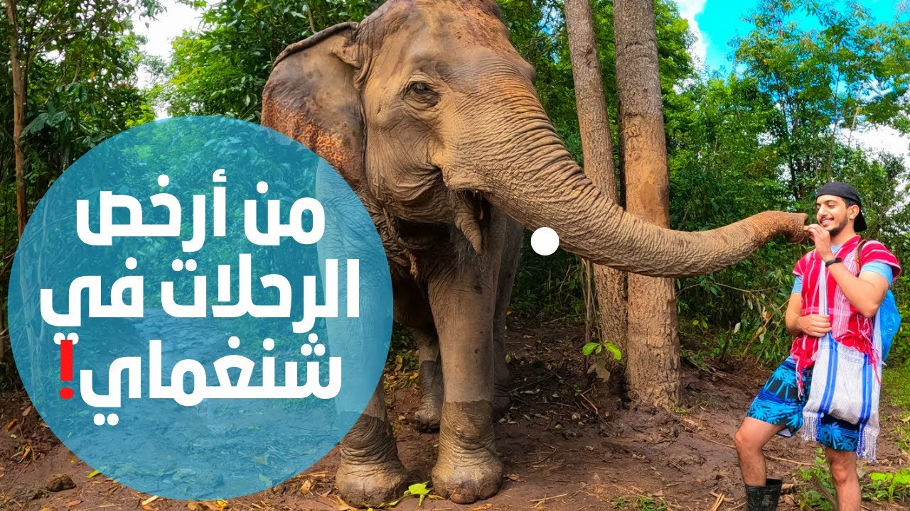 لازم تجرب الرحلة هذي في محميات الفيلة في شنغماي تايلاند - Elephant Village Sanctuary chiang mai #2