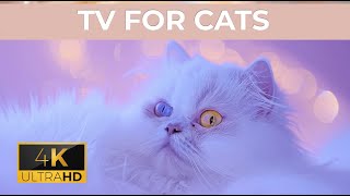 12 Hours of Music For Cats Relief Stress: EXTREMELY Soothing Cat Therapy Music, Peaceful Relax music