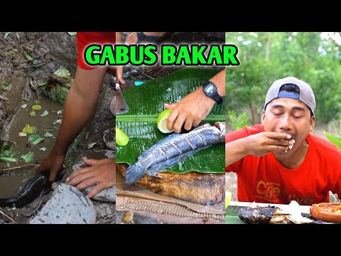 Resep Ikan Gabus Bakar Pedas