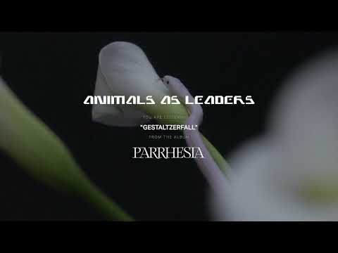 ANIMALS AS LEADERS - Gestaltzerfall