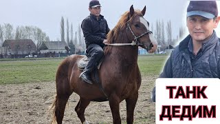 АКТИЛЕК АКЕДЕ ТАНКА кетишин кара