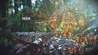 Kosinus Intro