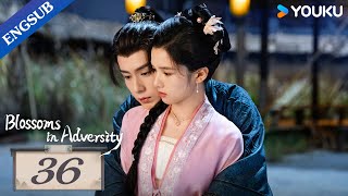 [Blossoms in Adversity] EP36 | Make comeback after family's downfall | Hu Yitian/Zhang Jingyi |YOUKU