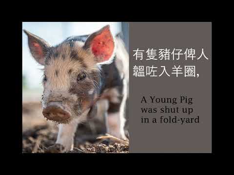 Cantonese audiobook (粵語有聲書): The Piglet, the Sheep, and the Goat