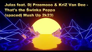 Julas feat. Dj Przemooo & KriZ Van Dee - That's the Świnka Peppa(spacedj Mush Up 2k23)