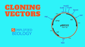 CLONING VECTORS for NEET, AIIMS, AIPMT, MCAT, JIPMER, PREMED