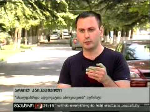 ემიგრანტები ხმის დასაცავად