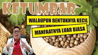 KETUMBAR...... BAHAN REMPAH BERUKURAN KECIL TETAPI MEMILIKI MANFAAT YANG LUAR BIASA