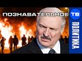 Как Батька СПАЛИЛ демократию (Познавательное ТВ, Артём Войтенков)