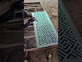 laser cutting gate #gatedesign #gate #laser