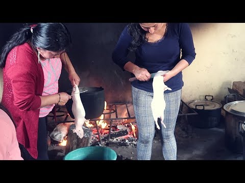 Video: Cómo Celebrar El Ecuador
