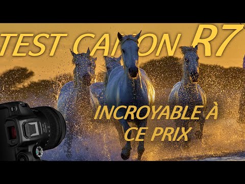 Vidéo de présentation