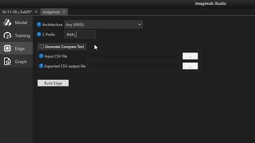Build the Edge AI model